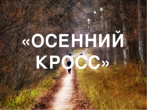 Read more about the article Осенний кросс.
