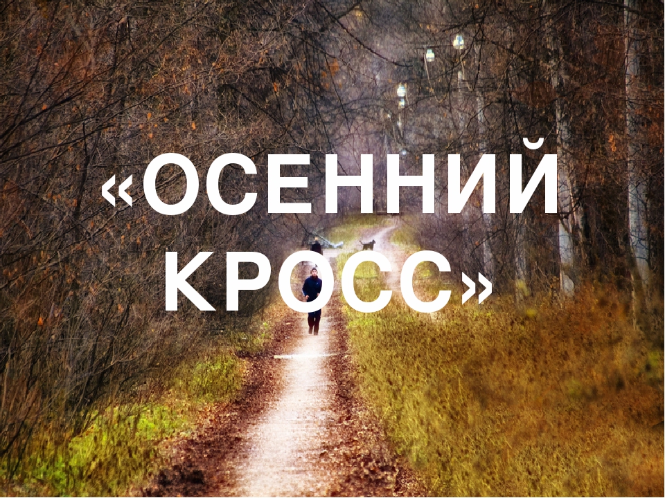 You are currently viewing Осенний кросс.