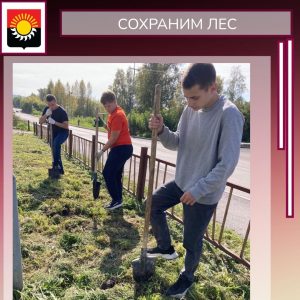 Read more about the article Всероссийская акция «Сохраним лес» прошла на территории округа 🌿