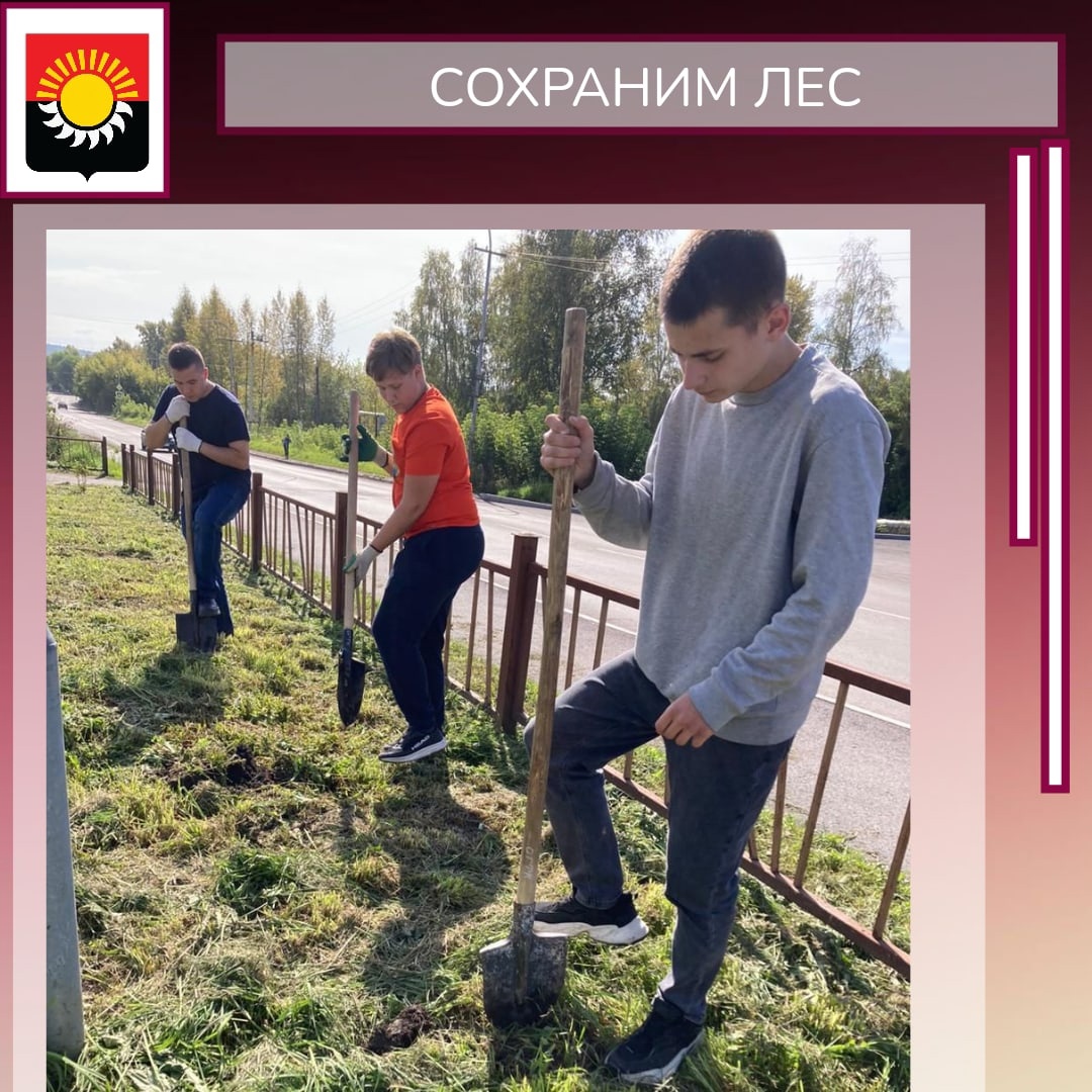 You are currently viewing Всероссийская акция «Сохраним лес» прошла на территории округа 🌿